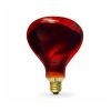 Bombilla Infrarrojos 275 W